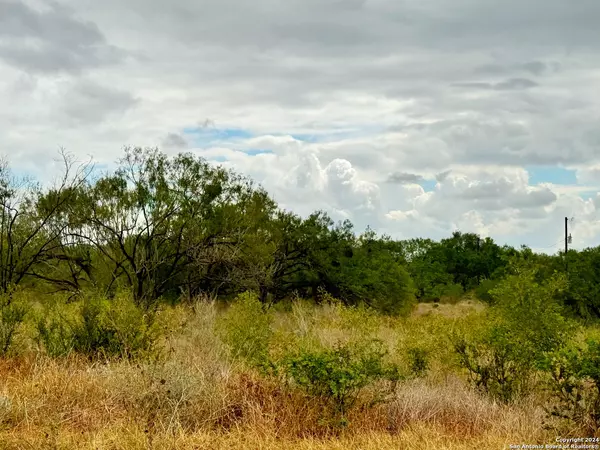 Devine, TX 78016,103 CR 2636