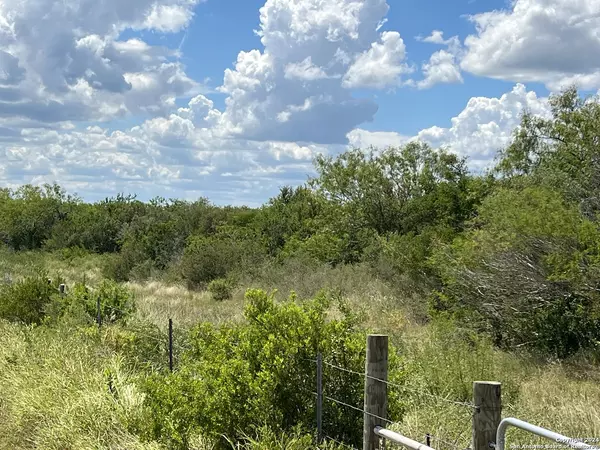 George West, TX 78022,0 County Road 121