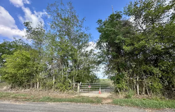 Atascosa, TX 78002,14150 LUCKEY RD