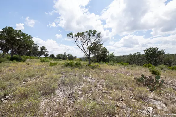 Mico, TX 78056,LOT 439 PR 1751