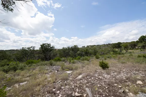 Mico, TX 78056,LOT 439 PR 1751