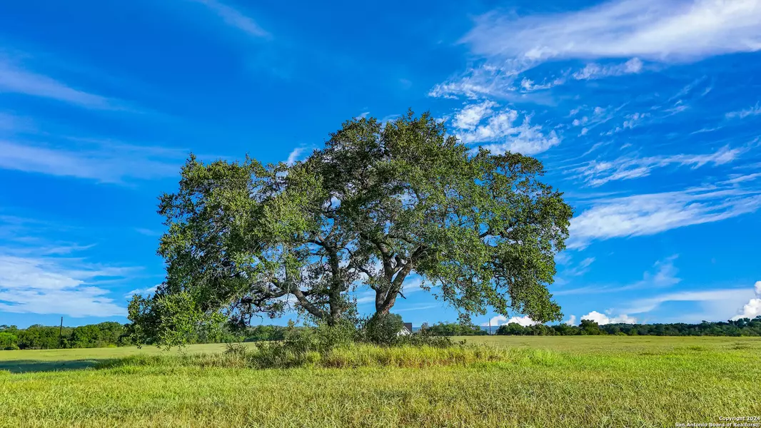 721 BRANCH RD, Seguin, TX 78155