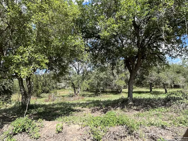 Floresville, TX 78114,LOT D 497 County Rd 124