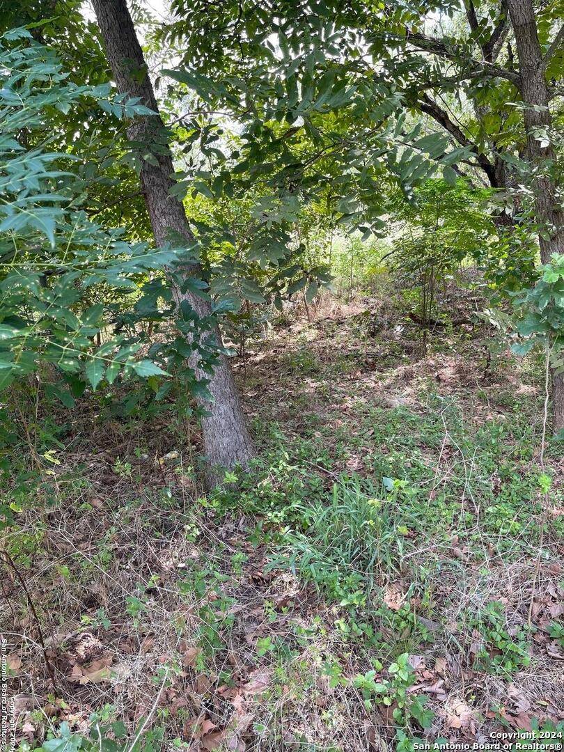 San Antonio, TX 78264,1711 Loop 1604 E