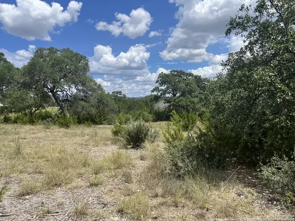 Bandera, TX 78003,522 Buckskin Trail