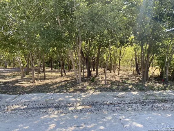 2518 Mcnutt, San Antonio, TX 78222