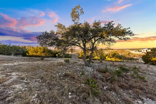 Blanco, TX 78606,1069 Purple Sage Trl