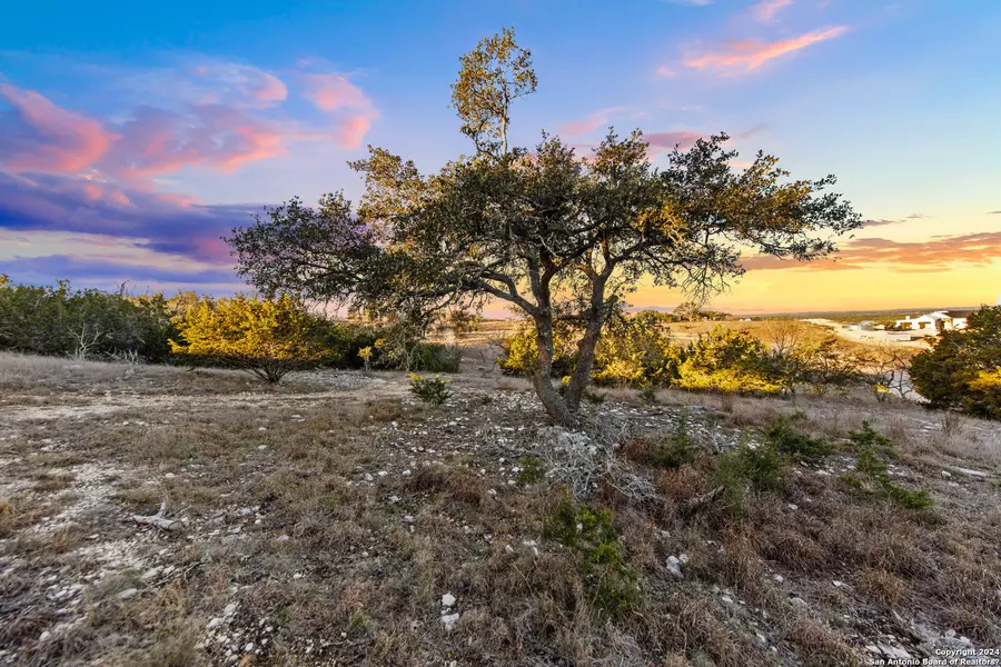 1069 Purple Sage Trl, Blanco, TX 78606