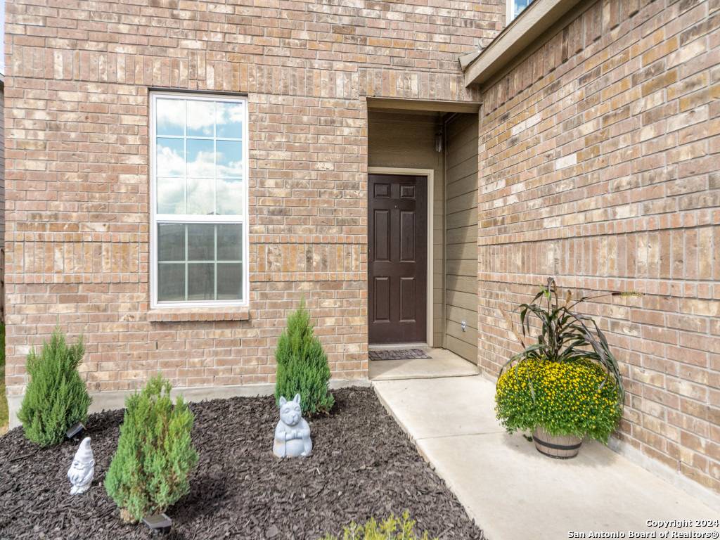 San Antonio, TX 78252,10507 brady creek