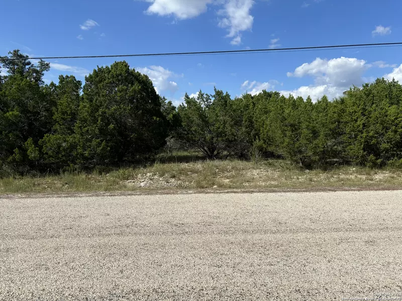 336 LILY ST, Spring Branch, TX 78070