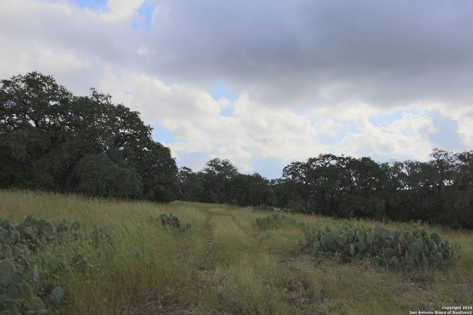 Hondo, TX 78861,0 PR 2491 Hwy 173 S