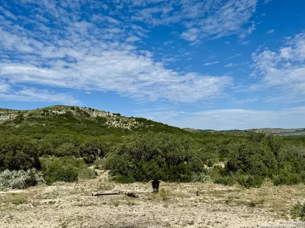 Uvalde, TX 78801,LOT 4B 22819 S. Hwy 55