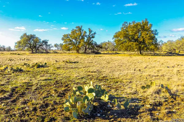 Harper, TX 78631,3049 Reservation Rd