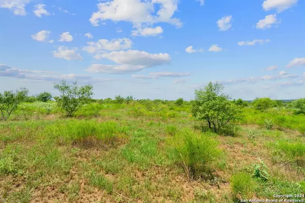 Harwood, TX 78629,LOT4 CR 280