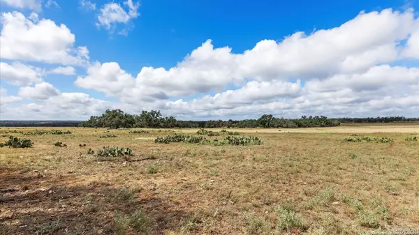 Harper, TX 78631,3100 S Ranch Road 783 Lot 2