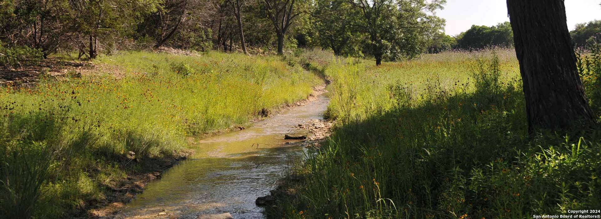Canyon Lake, TX 78133,1810 Mountain Spring