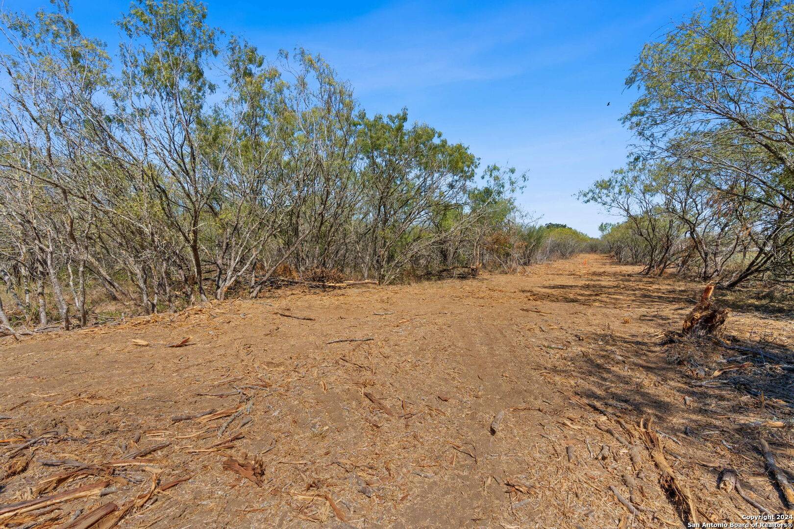 Dale, TX 78616,LOT 7 Tumbleweed Trail
