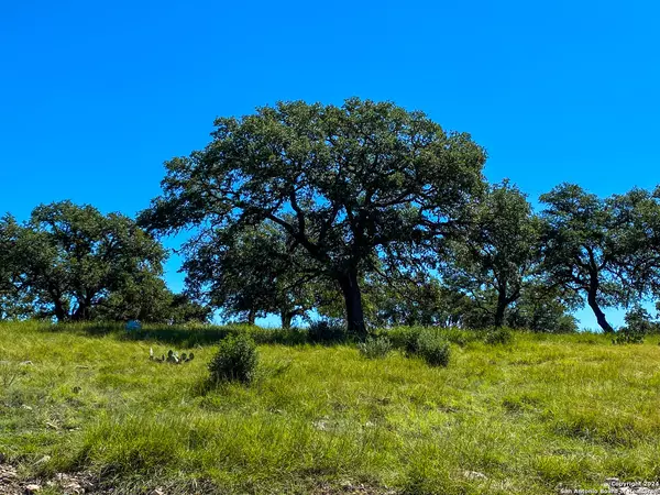 Kerrville, TX 78028,LOT 68 Loma Vista Ranch