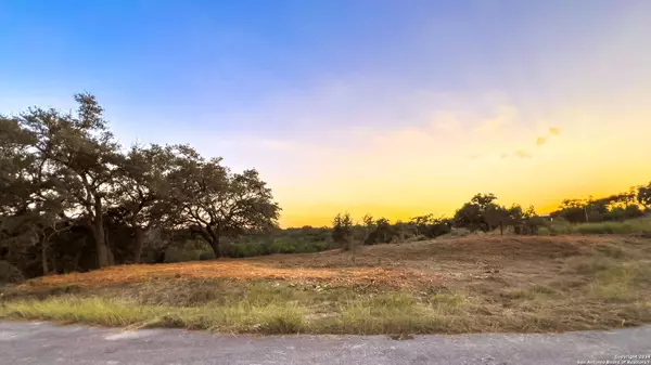 Spring Branch, TX 78070,512 GRAY FOX