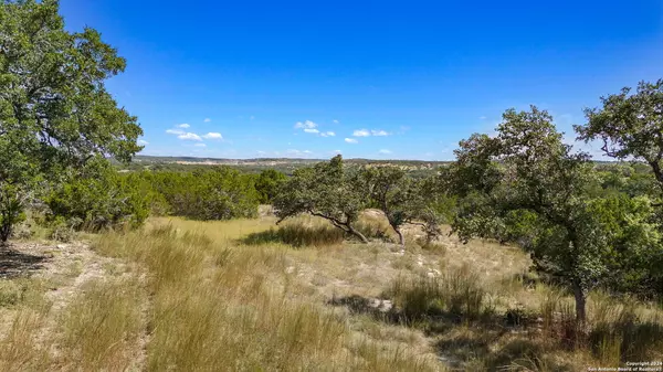 Spring Branch, TX 78070,455 BLACKBIRD DR
