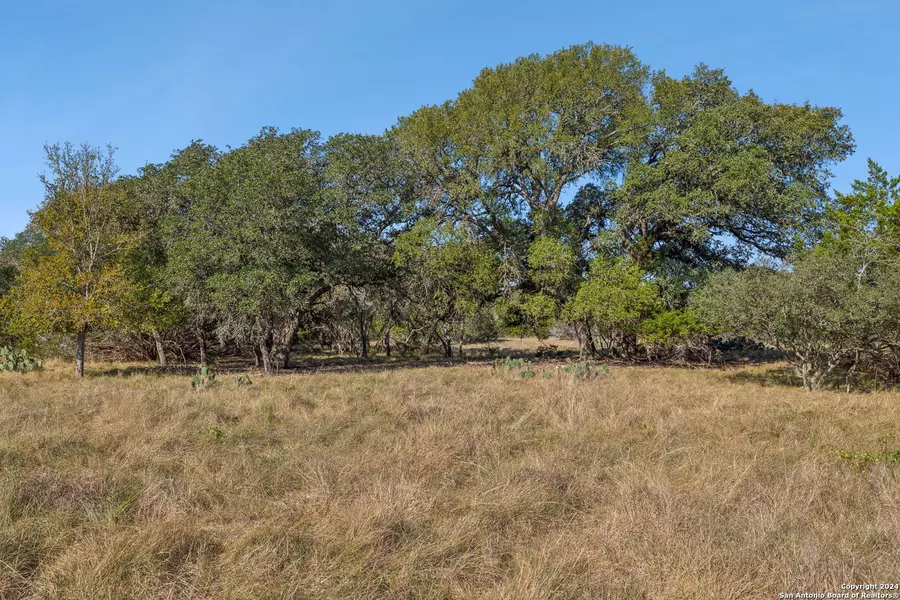 TBD ROLLING ACRES TRL, Fair Oaks Ranch, TX 78015