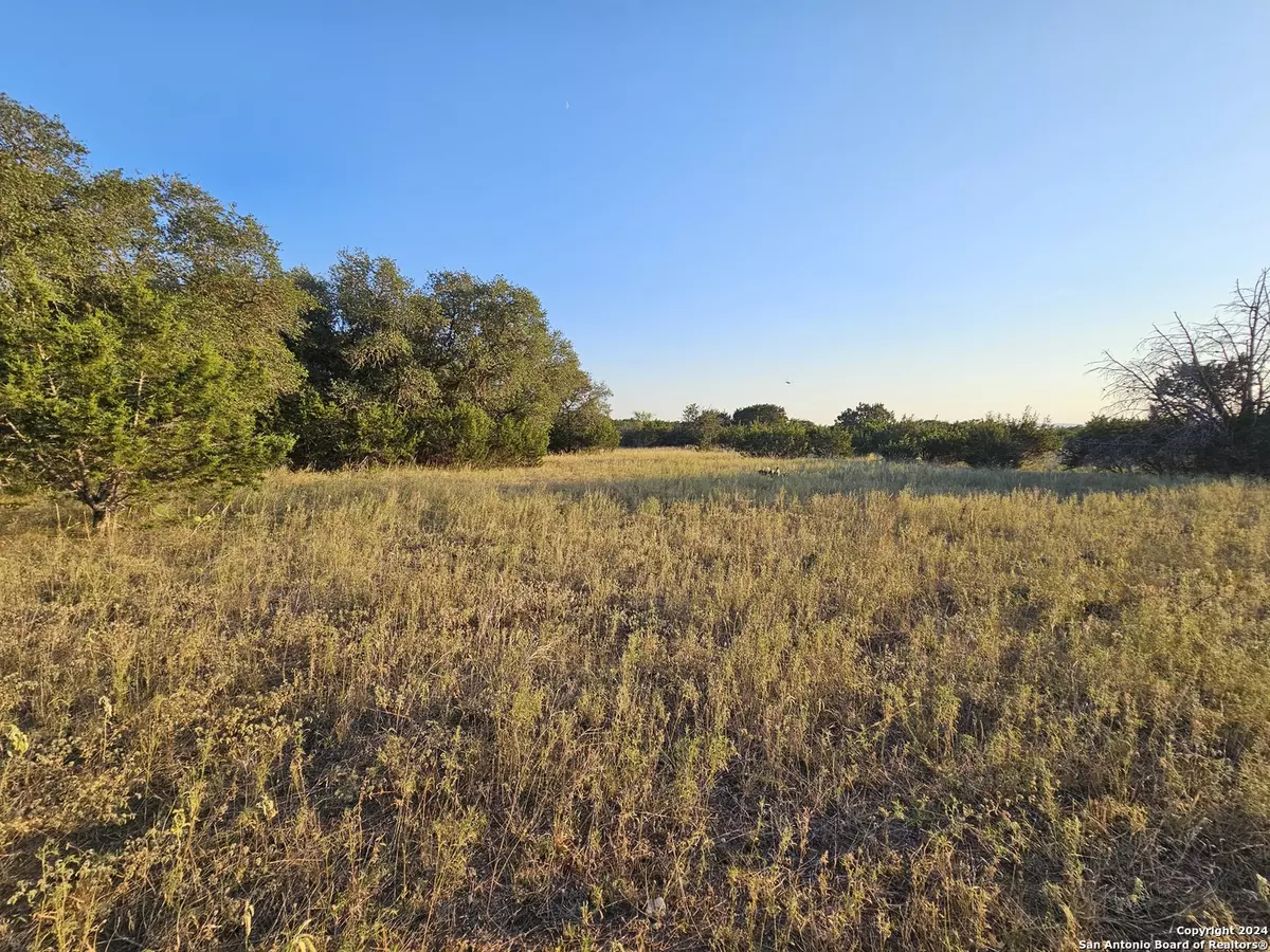 Bandera, TX 78003,4463 FOREST TRAIL DR