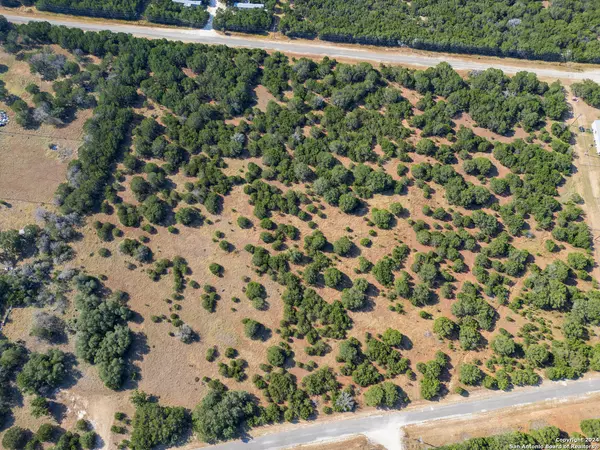 Bandera, TX 78003,4463 FOREST TRAIL DR