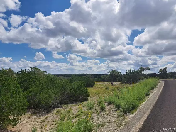 Fredericksburg, TX 78624,LOT 74 Pinnacle Dr