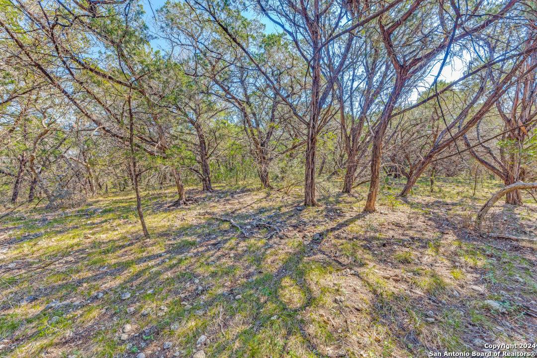 Mico, TX 78056,374 PR 1742