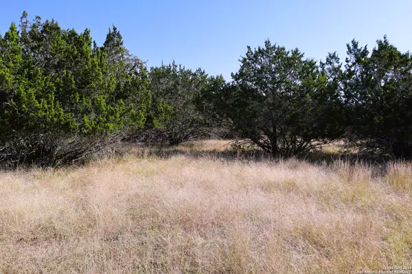 Bandera, TX 78003,LOT 122 Palomino Springs