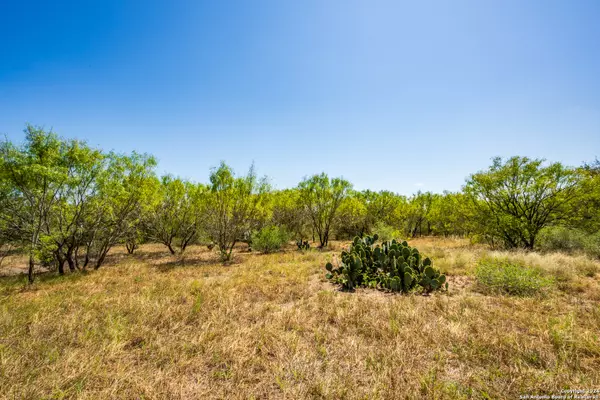 Devine, TX 78016,CR 6642 Cr 6642