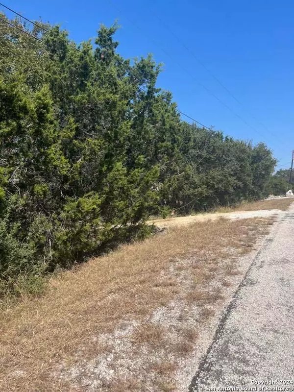 New Braunfels, TX 78132,1585 HILLTOP RDG