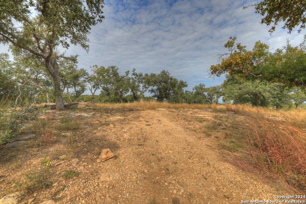 Bulverde, TX 78163,826 Brand Rd