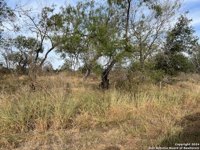 Leming, TX 78050,325 San Antonio Ave