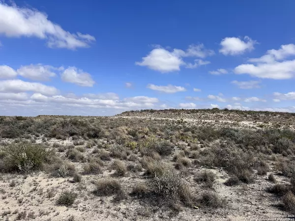 Dryden, TX 78851,TBD Pumpville Road