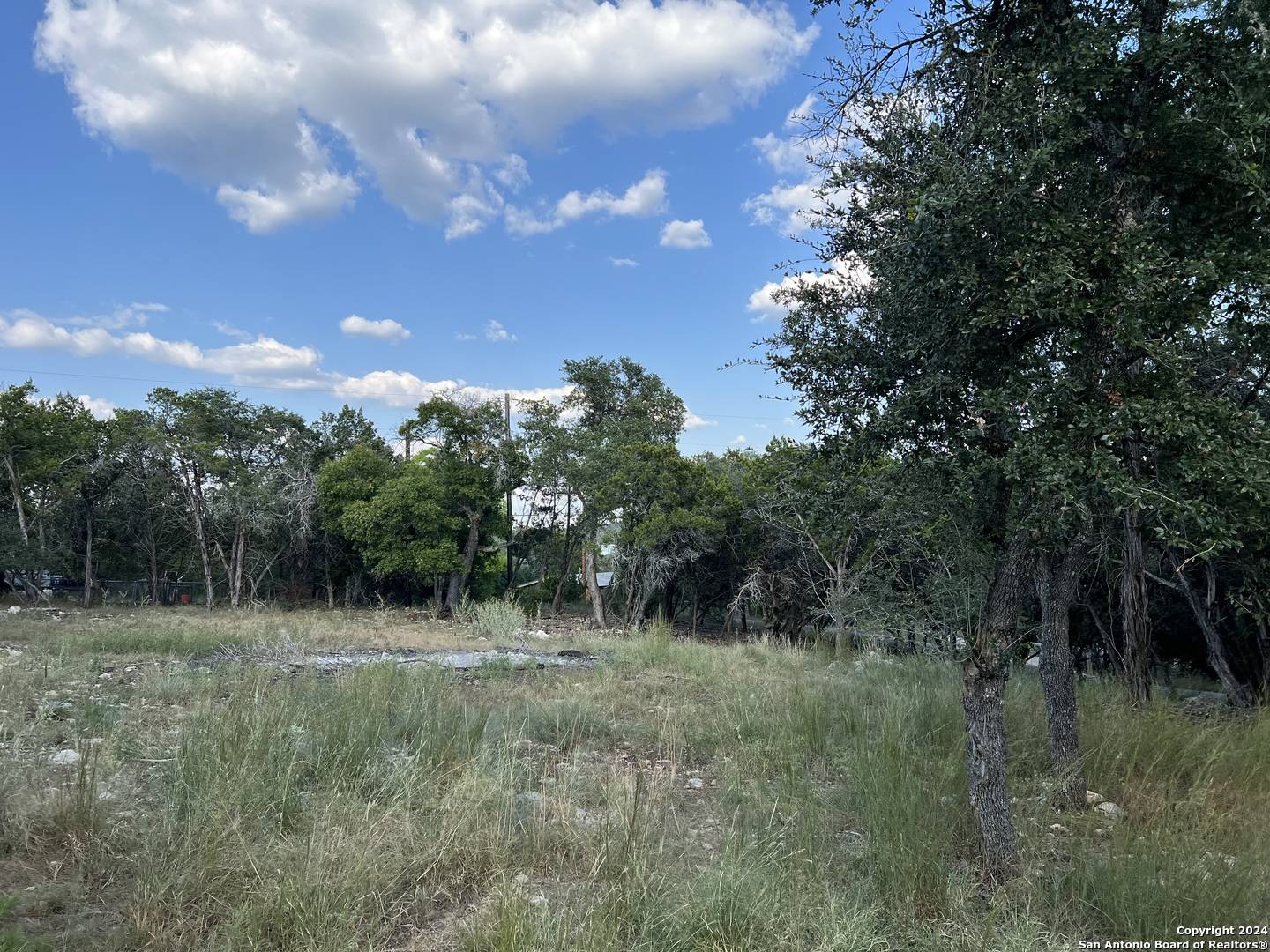 Canyon Lake, TX 78133,381 RINGTAIL