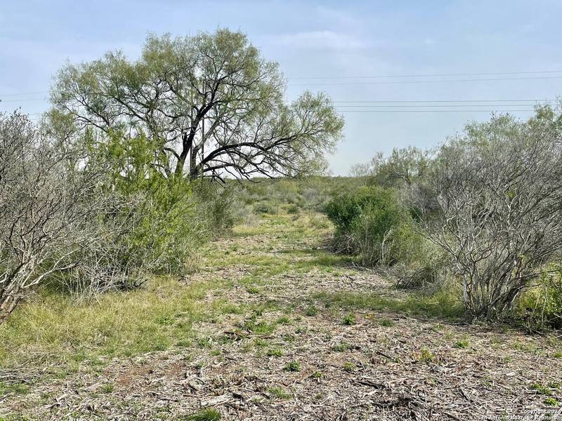 173 county road 1670, Moore, TX 78057
