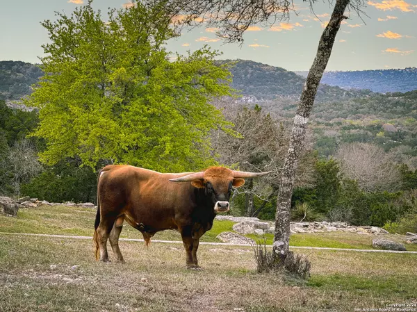 Boerne, TX 78006,138 Estancia Ln