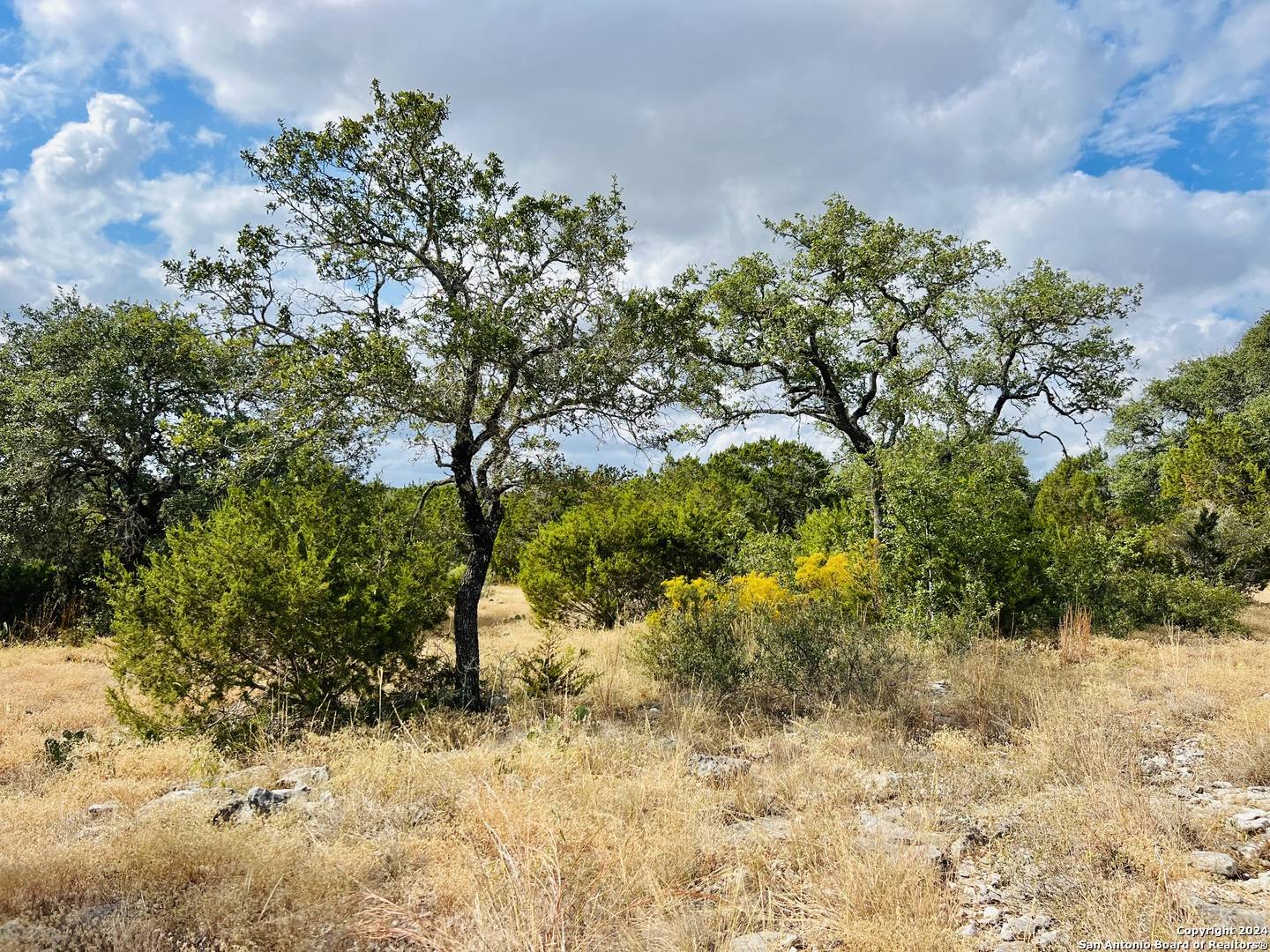 Spring Branch, TX 78070,122 MILFOIL LN