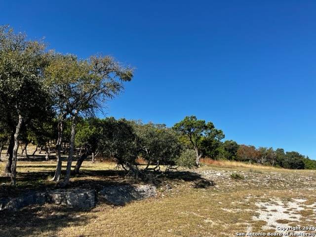 Spring Branch, TX 78070-6187,275 AVIATOR PASS