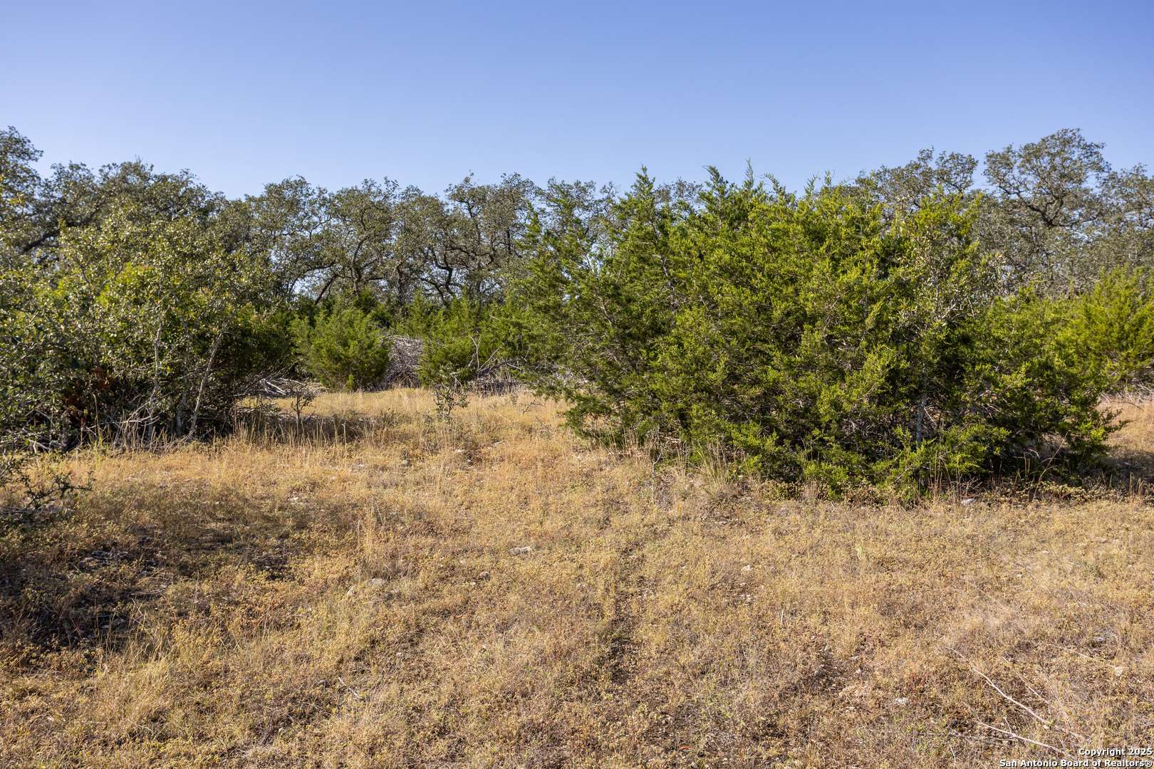 Boerne, TX 78006,BLOCK 1, LOT 14 Standing Tall