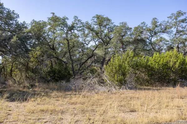 Boerne, TX 78006,BLOCK 2, LOT 3 Fortunate Son