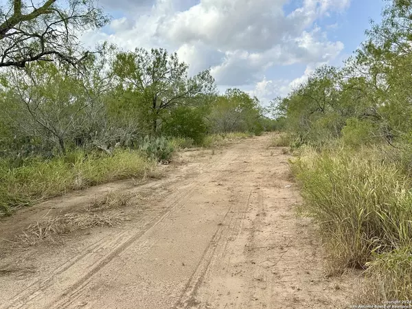 Christine, TX 78064,0000 CR 421