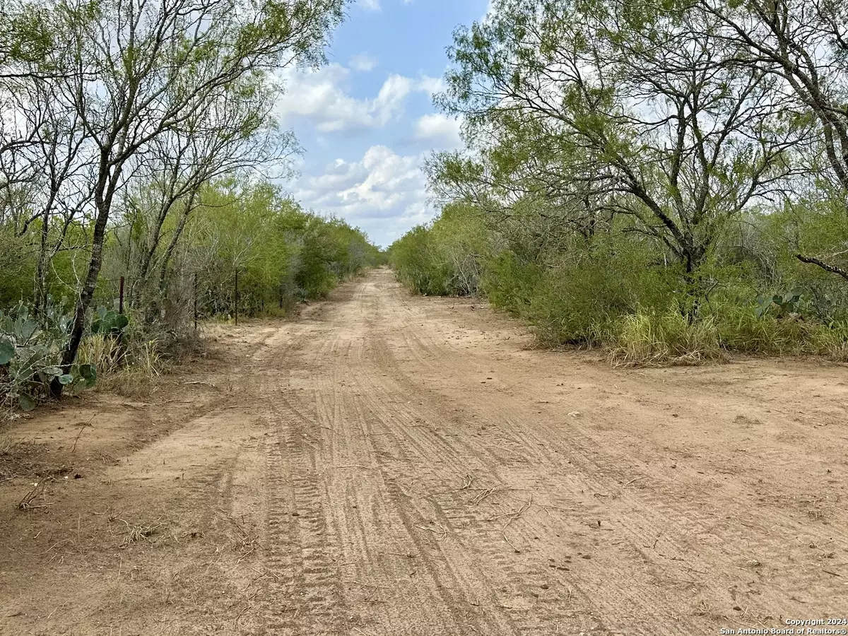 Christine, TX 78064,0000 CR 421