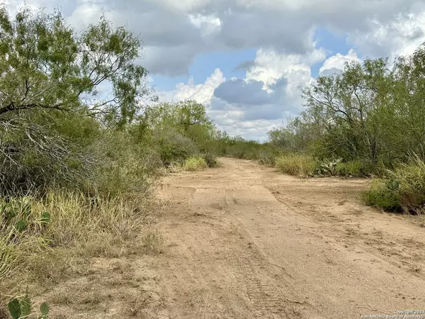 Christine, TX 78064,0000 CR 421