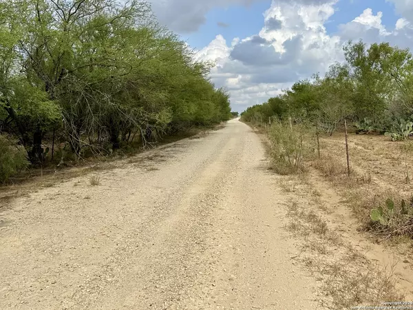Christine, TX 78064,0000 CR 421