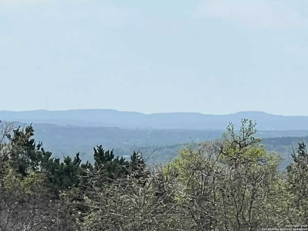 Spring Branch, TX 78070,303 High Point
