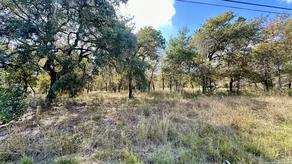 San Antonio, TX 78264-4651,2010 SANDY BND