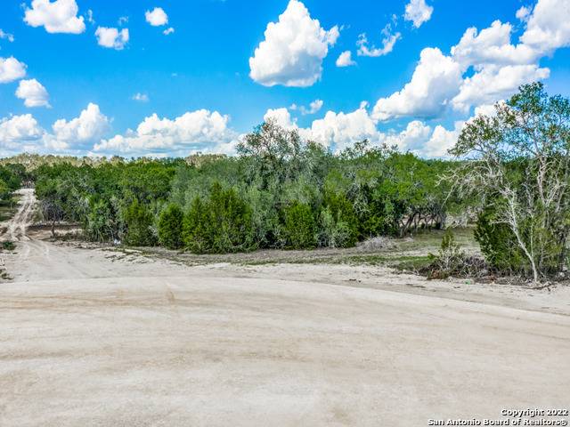 736 Sharp Springs, Bulverde, TX 78163