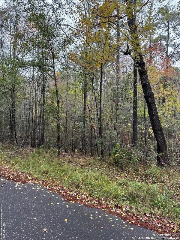 Jasper, TX 75951,00 County Road 065